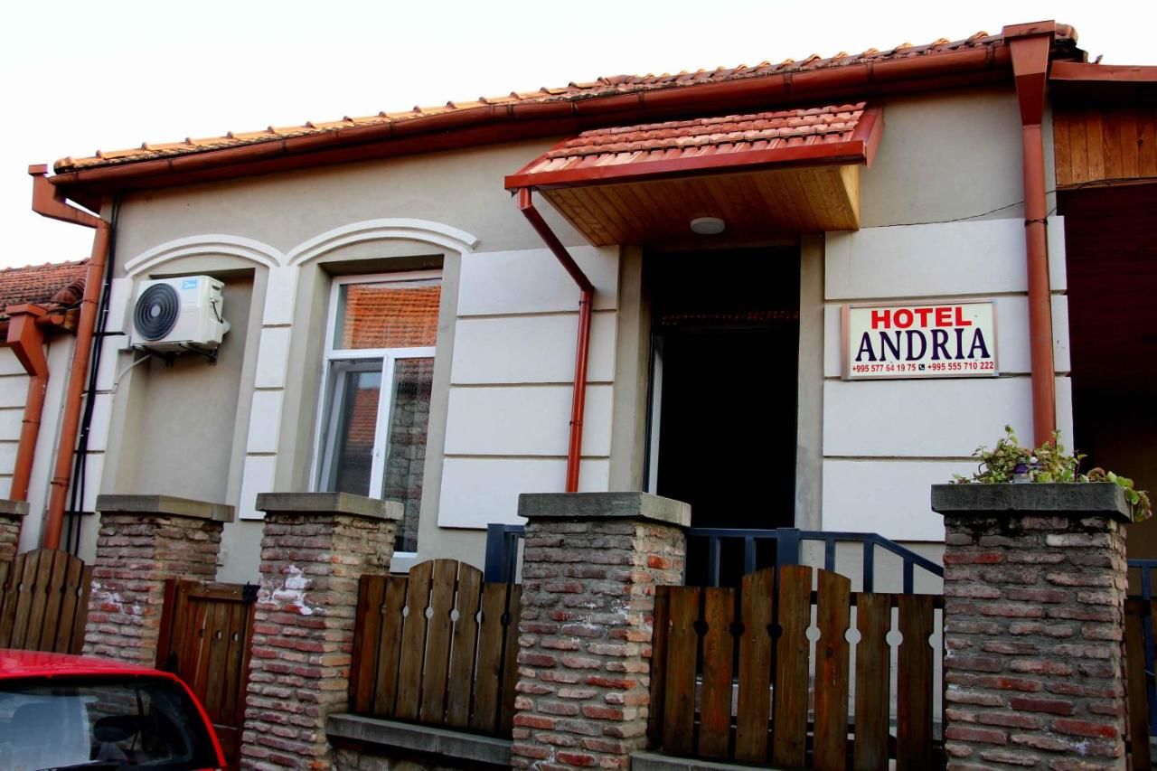 Гостевой дом Guest House Andria Мцхета-22
