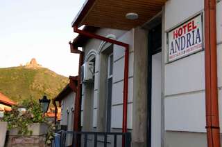 Гостевой дом Guest House Andria Мцхета-0