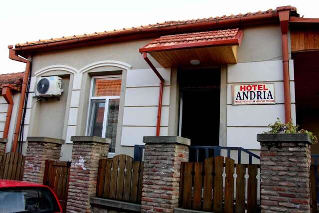 Гостевой дом Guest House Andria Мцхета-21